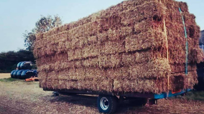 Hay and straw delivered in Sussex